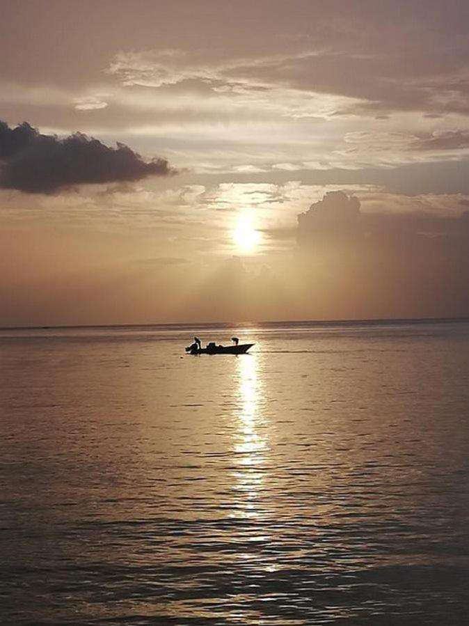 Gites Les Lodges Des Hauts De Deshaies Bungalow Barbade Buitenkant foto